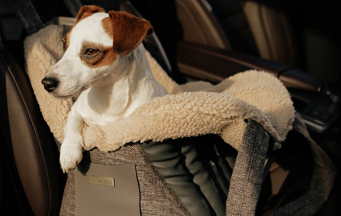 Toyota Highlander Dog Carrier Car Seat for Boston Terrier