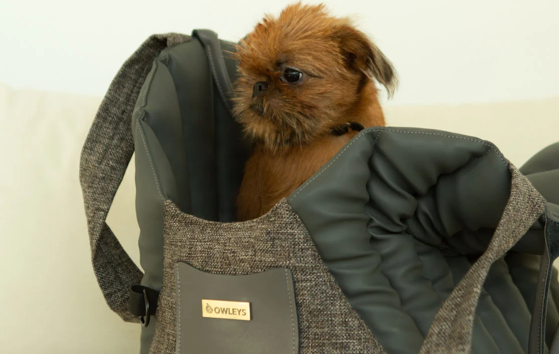 Lhasa Apso Dog Carrier Car Seat for Hyundai Santa Fe