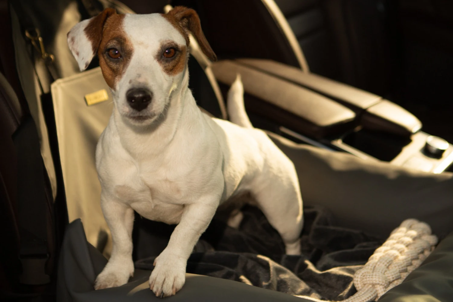 Basenjis Dog Car Seat for Kia Optima