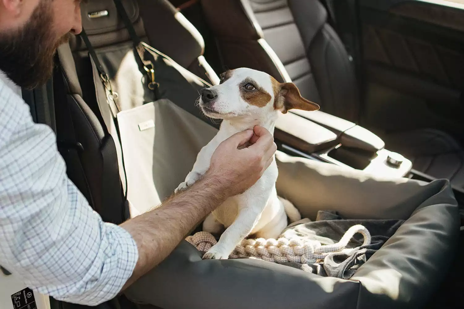 Basenjis Dog Car Seat for Kia Optima