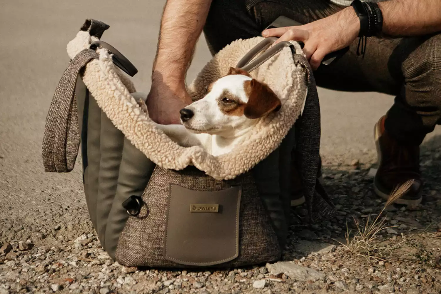 Toyota Tacoma Dog Carrier Car Seat for Toy Tzu