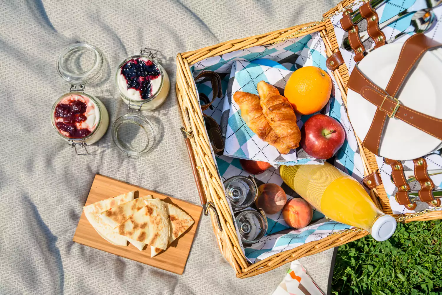 best family picnic blanket